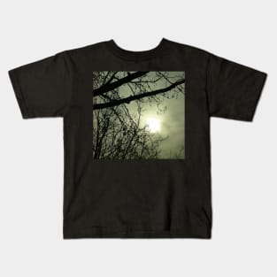 Branches in Mist : photograph Kids T-Shirt